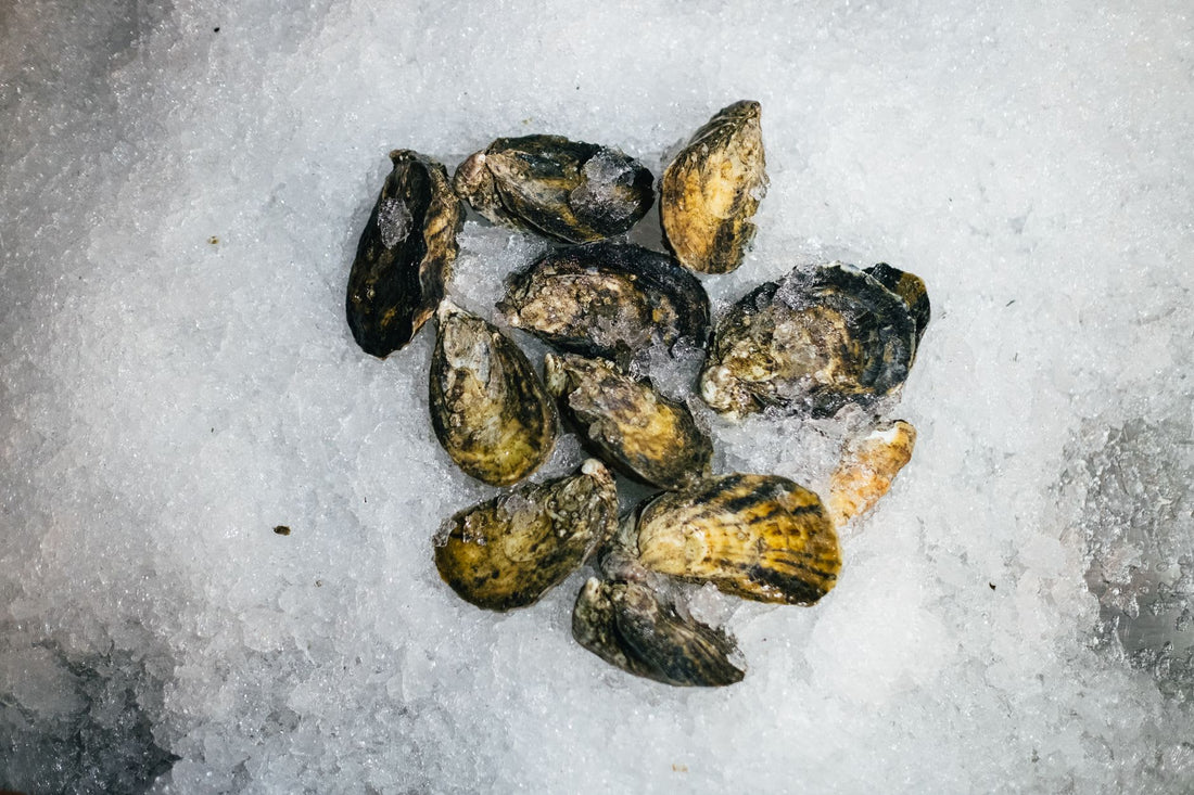 Are Jews Allowed To Eat Oysters