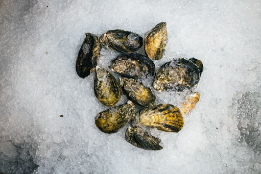 Are Jews Allowed To Eat Oysters