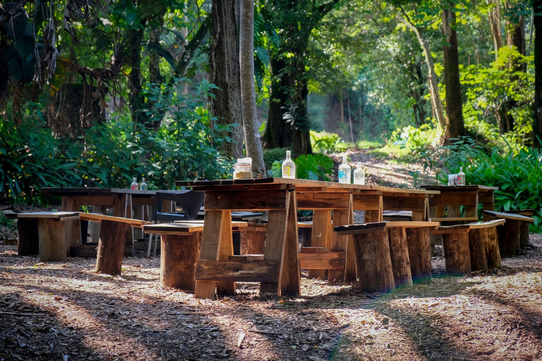 Can God Furnish A Table In The Wilderness Kjv