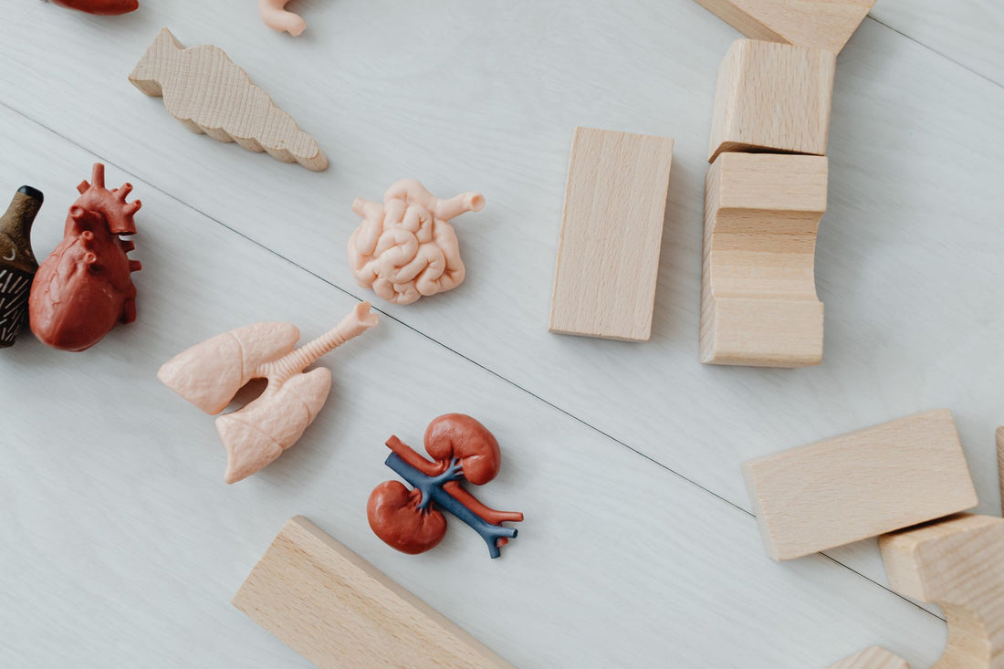 Can God Heal Kidney Disease