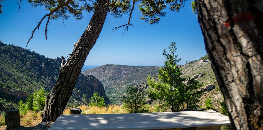 Can God Make A Table In The Wilderness