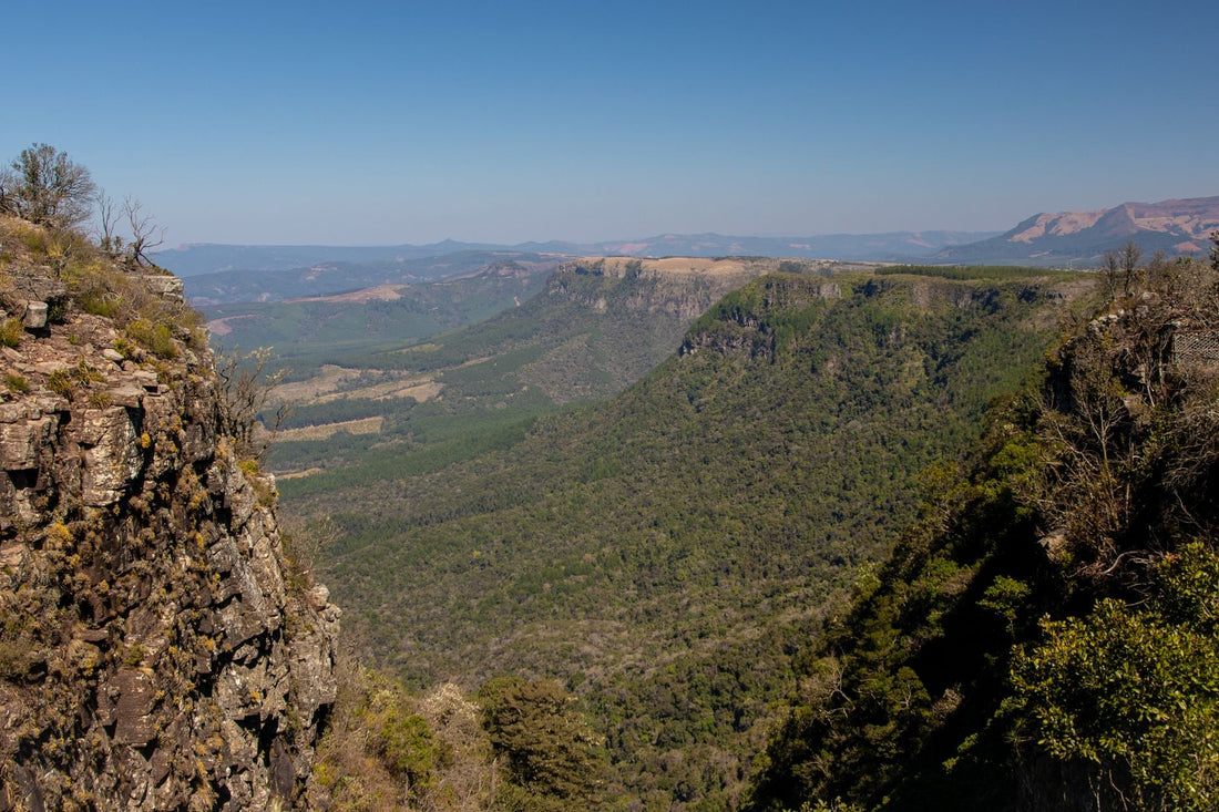 Can God Spread A Table In The Wilderness
