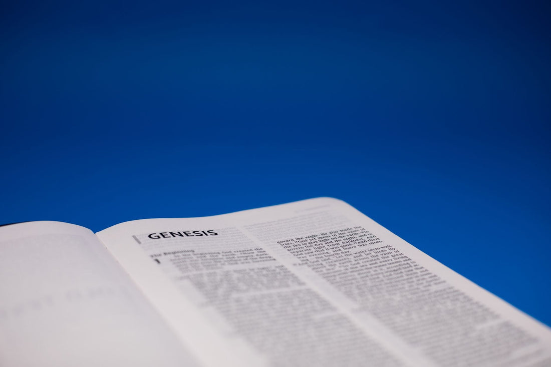 Did God Ask David To Take A Census