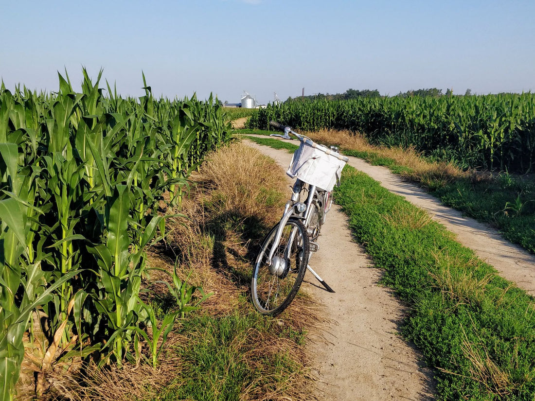 Do Amish Use Bikes