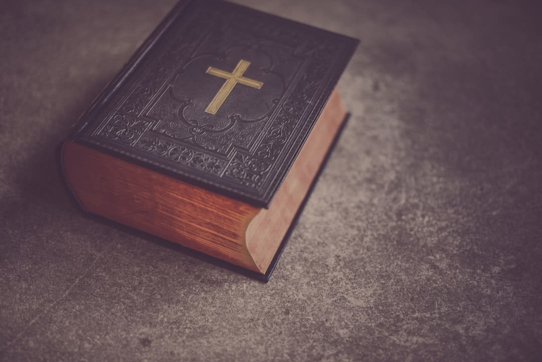 Do Christians Believe In Evolution