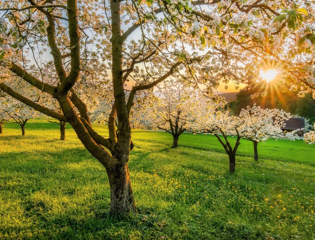 Do Christians Celebrate Spring Equinox