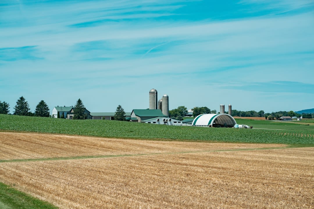 Do The Amish and Mennonites Get Along