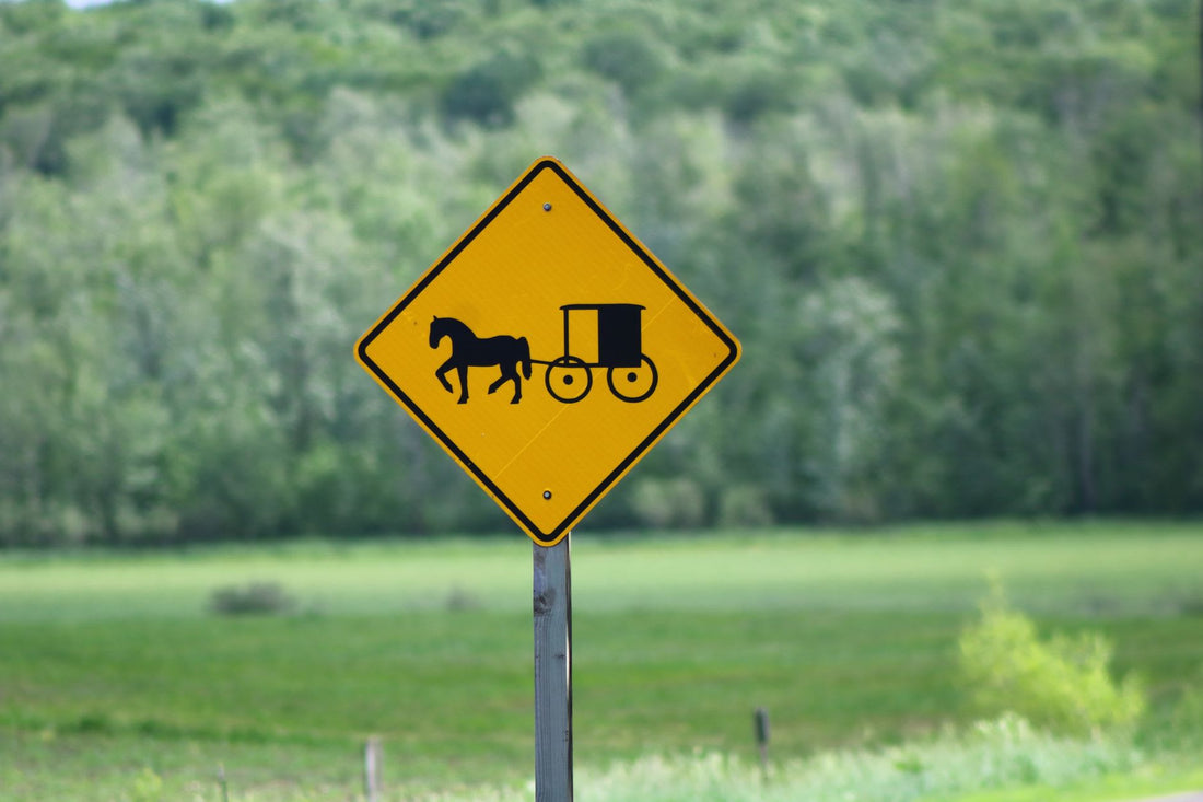 Do The Amish Hire Drivers