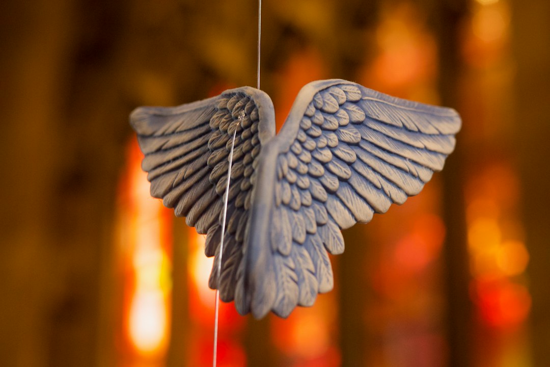 Does God Fly