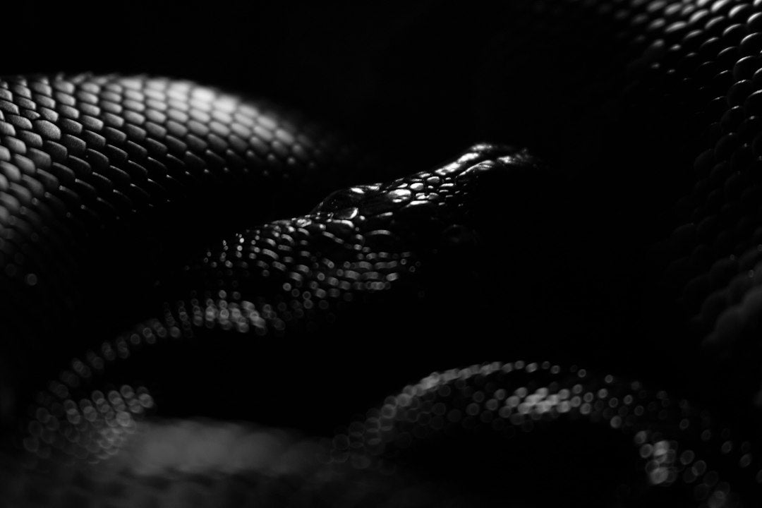 Does God Hate Snakes