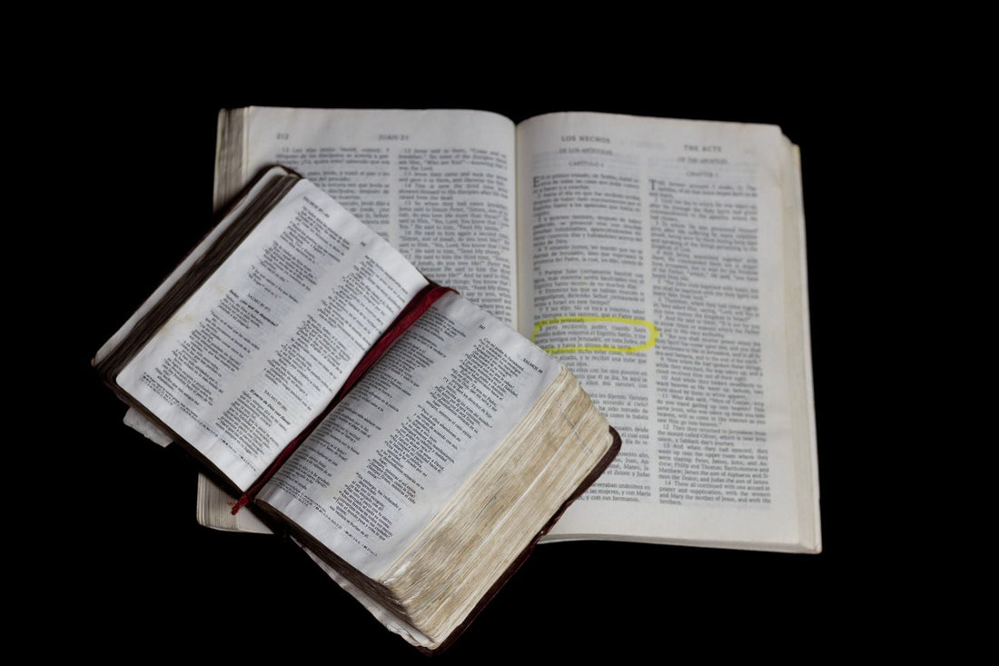 Does God Not Feed The Birds Verse