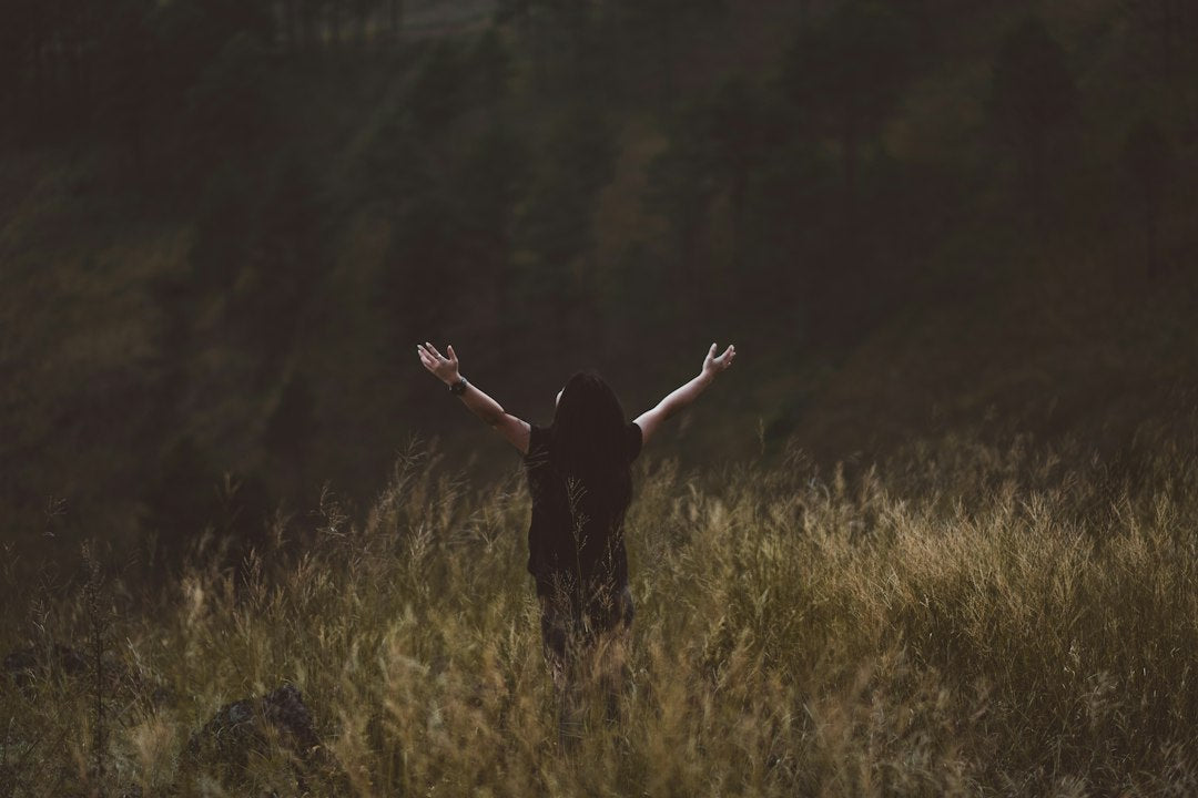Does God's Omniscience Contradict Free Will