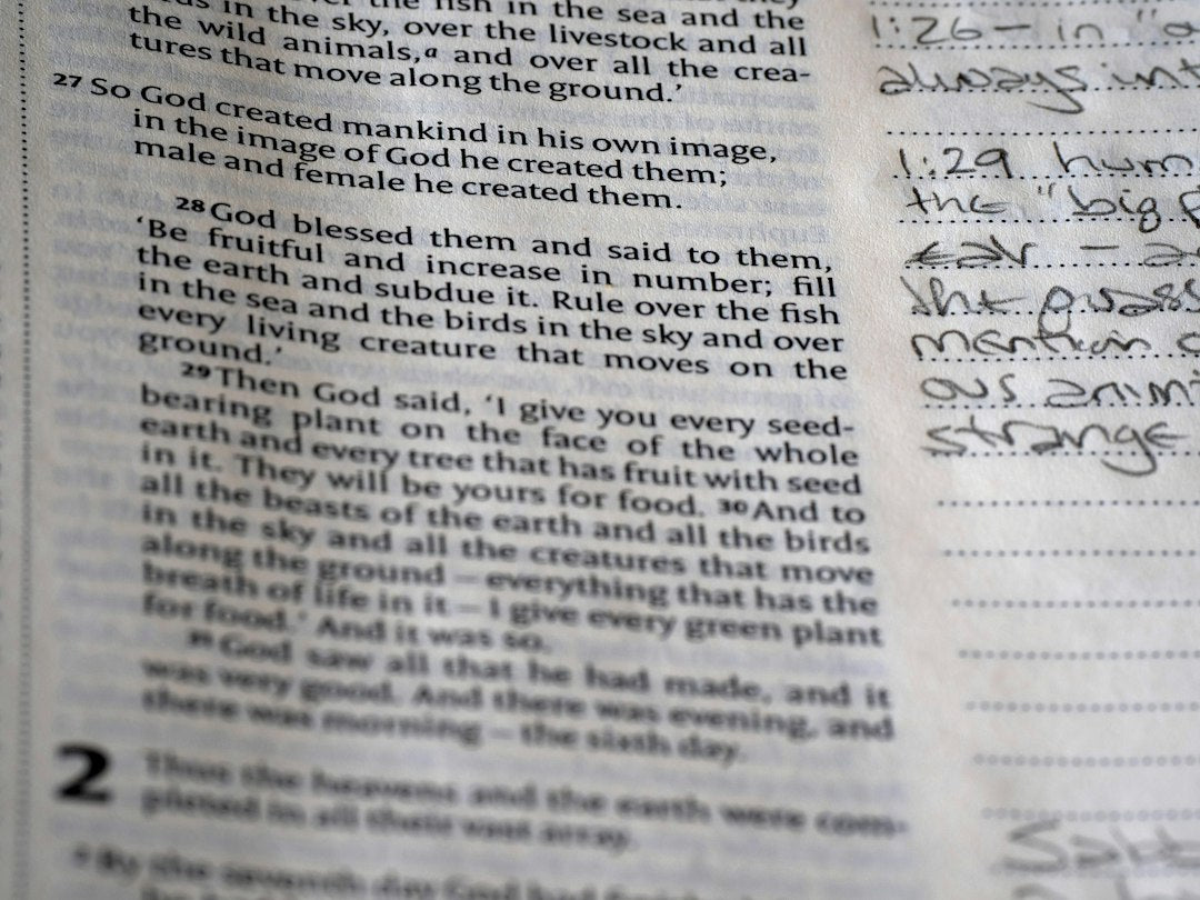 God Will Feed The Birds Bible Verse