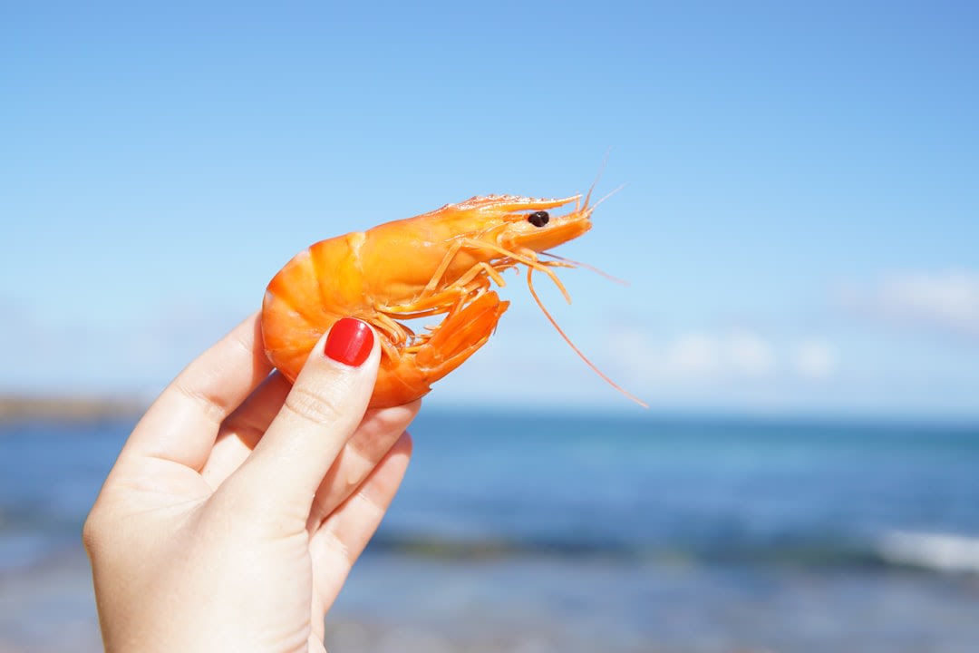 Is Eating Shrimp A Sin In Christianity