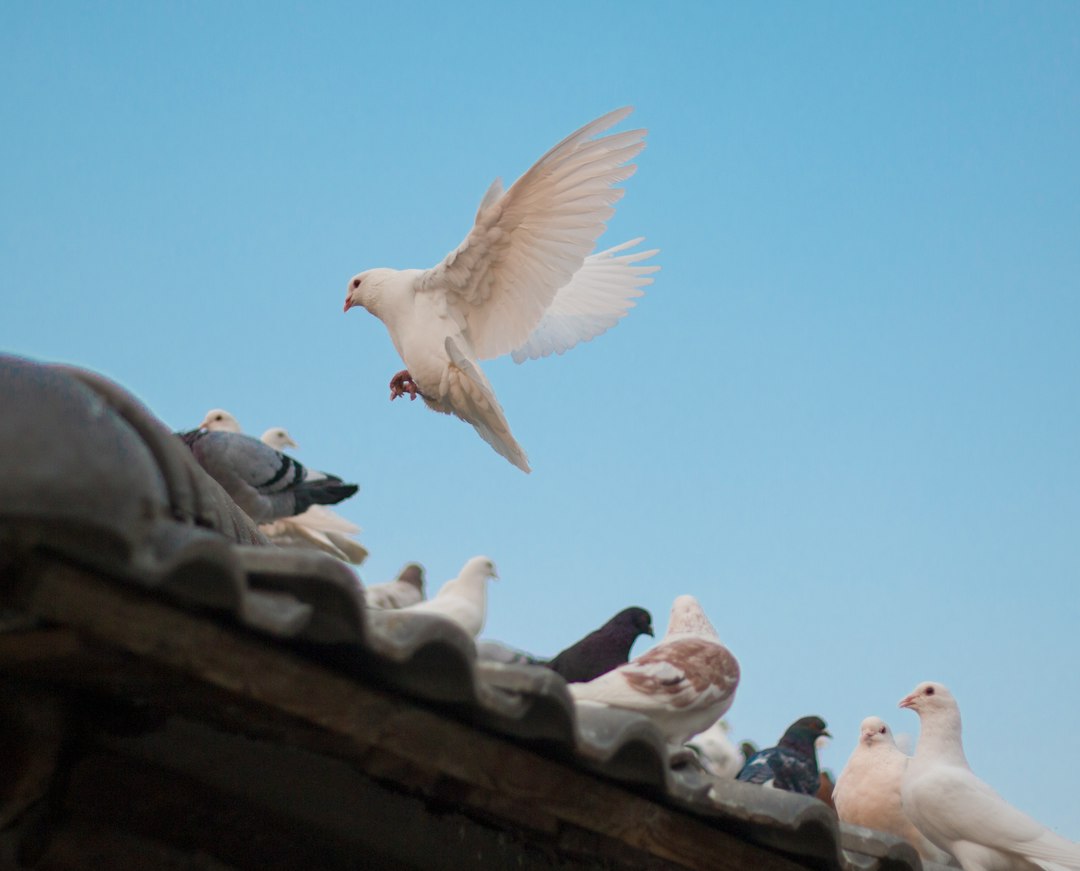 Is Jesus or God The Holy Spirit? – Epistle Bliss
