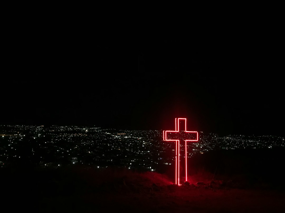 Is Jesus The Son Of David?