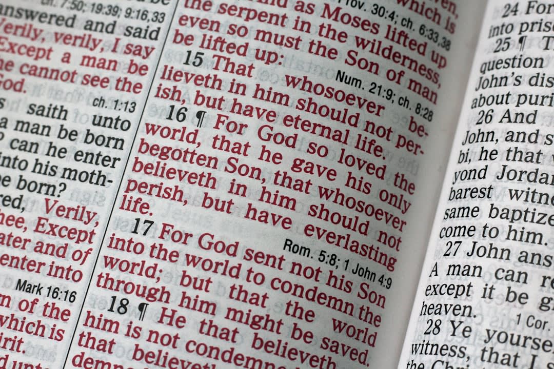Should Christians Say Damn
