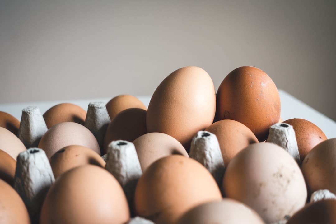 What Are Amish Eggs