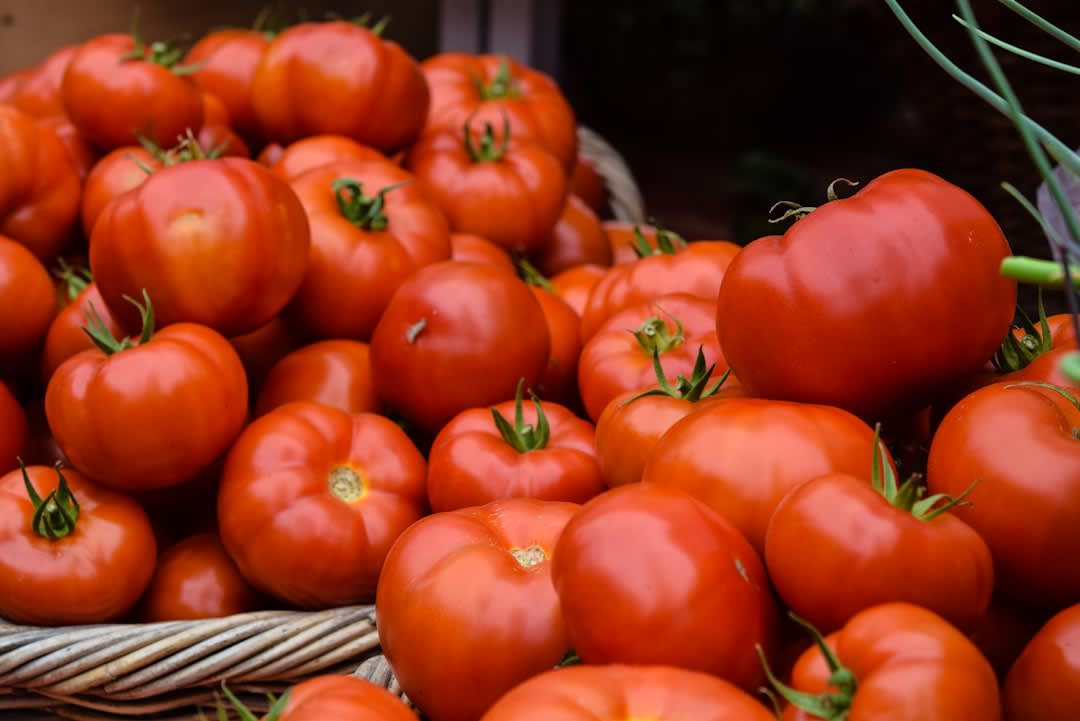 What Are Amish Paste Tomatoes