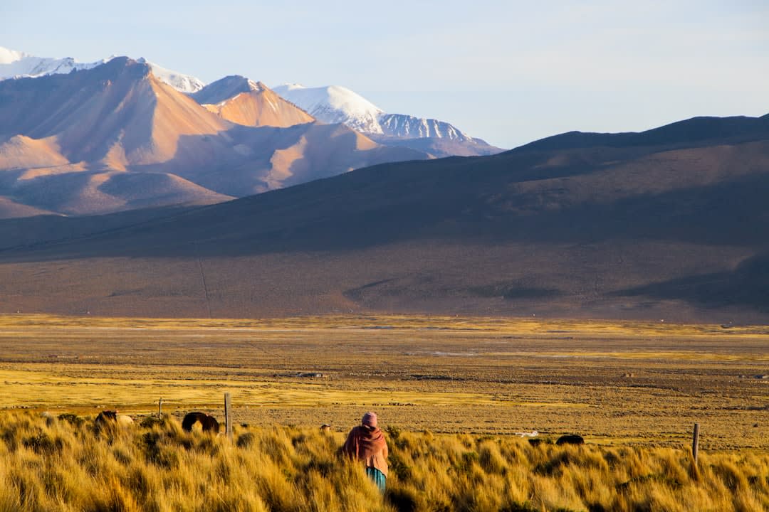 What Are Bolivian Mennonites