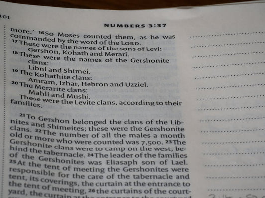 What Are Mennonite Last Names