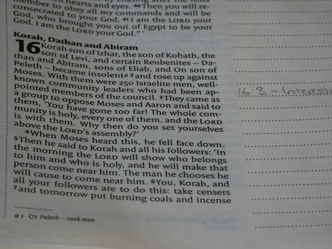What Did God Promise The Israelites