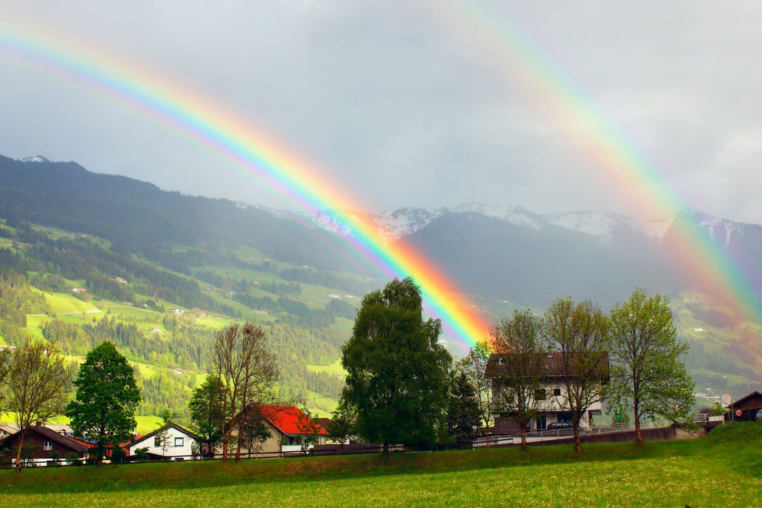 What Did God Require Of Noah In The Rainbow Covenant
