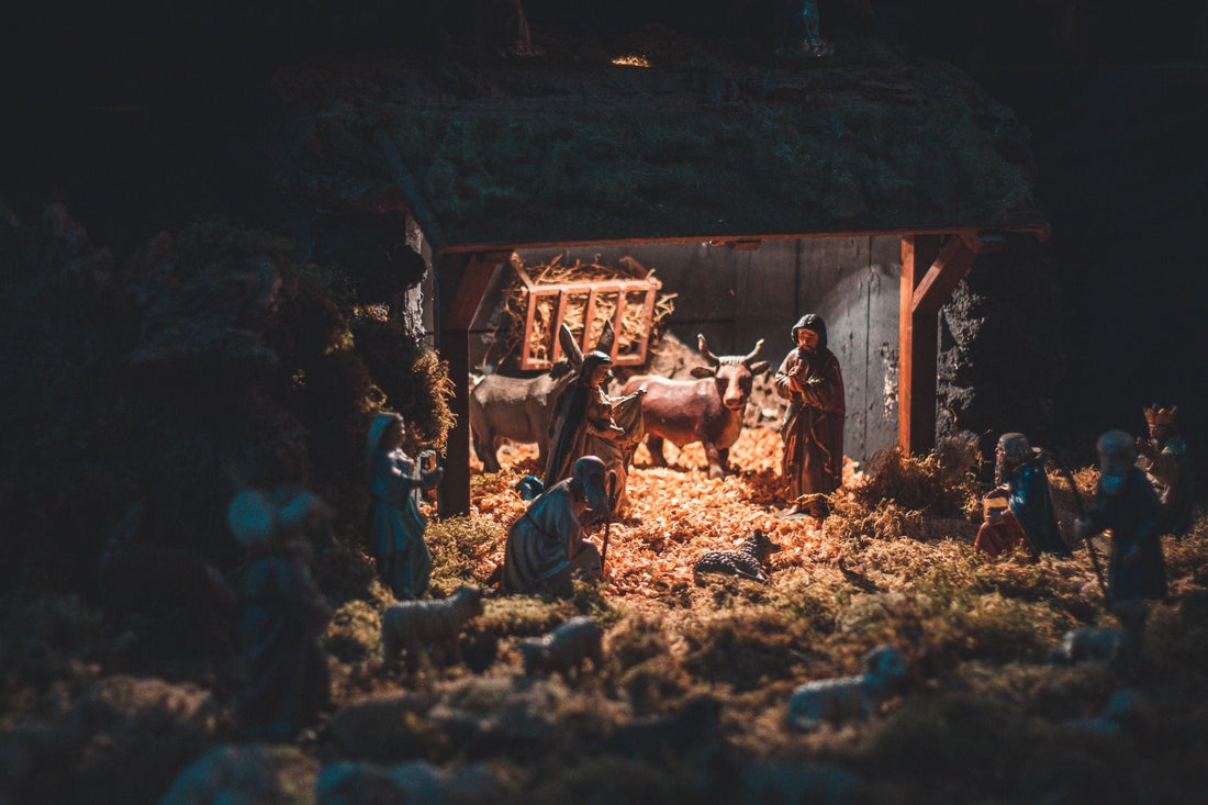 What Did God See In Noah