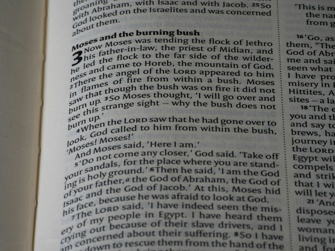 What Did God Speak Through To Moses In The Desert