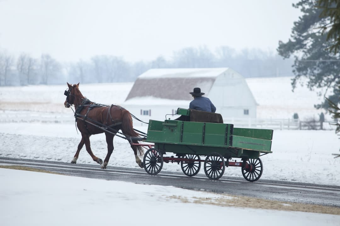 What Do The Amish Celebrate On January 6