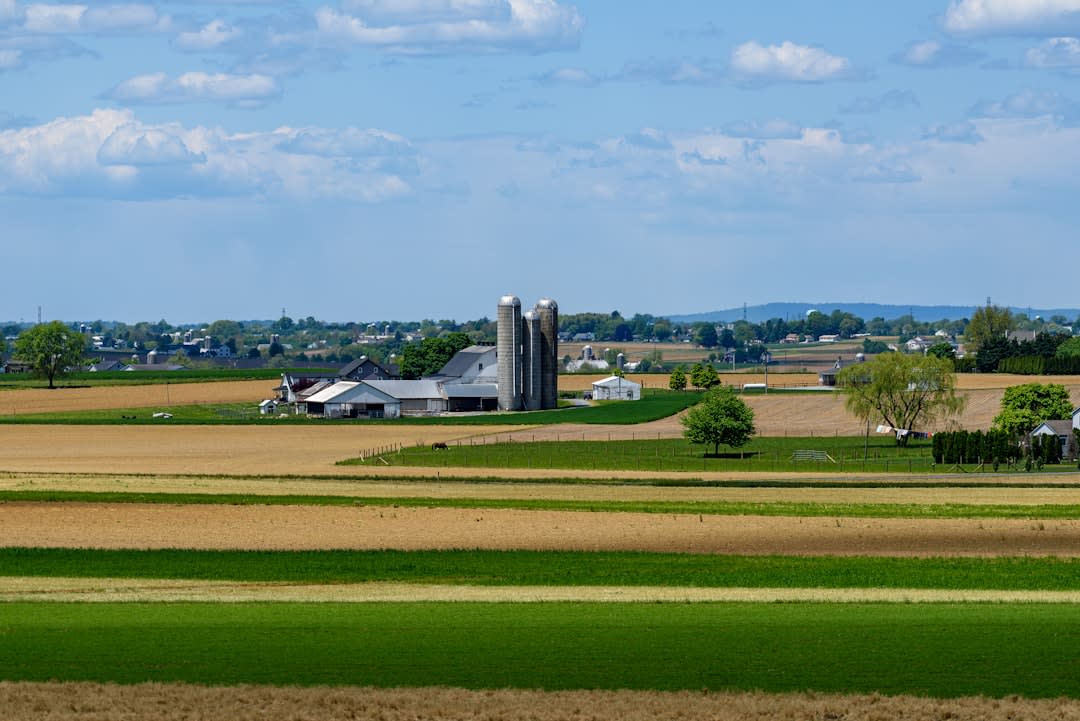 What Do The Amish Grow