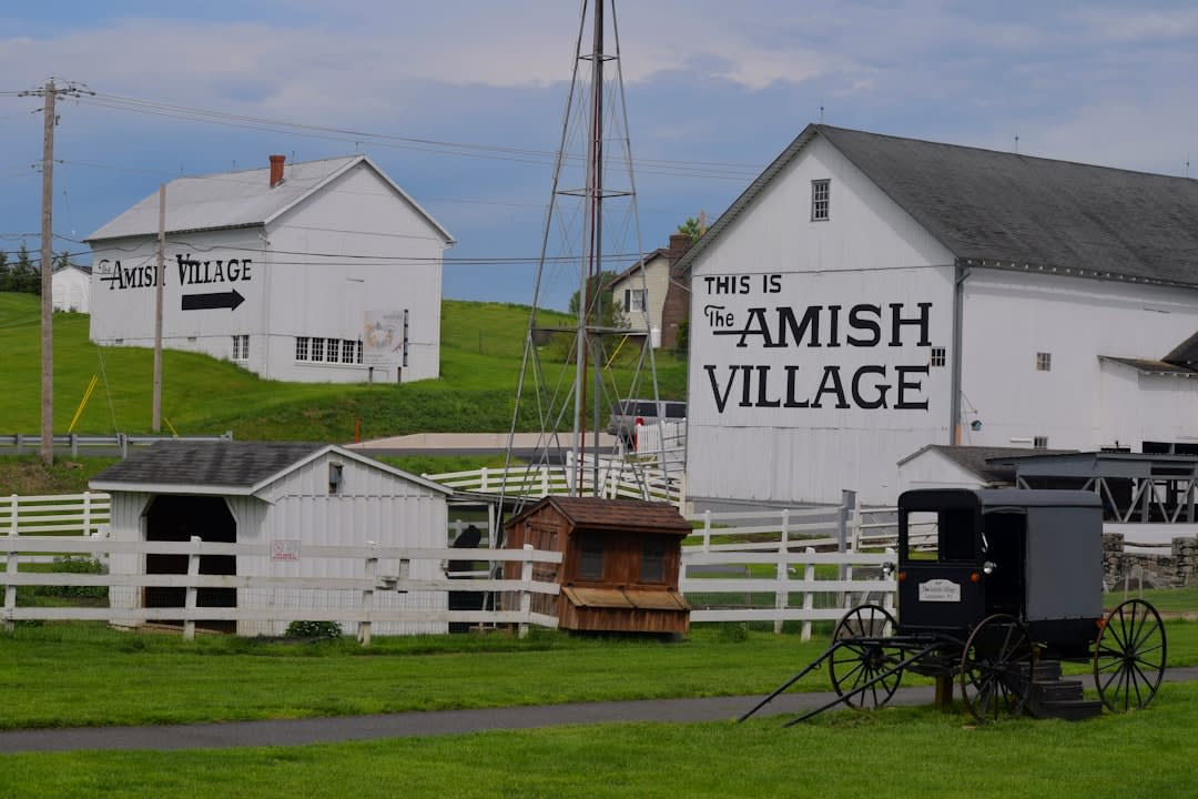 What Is The Amish Mafia