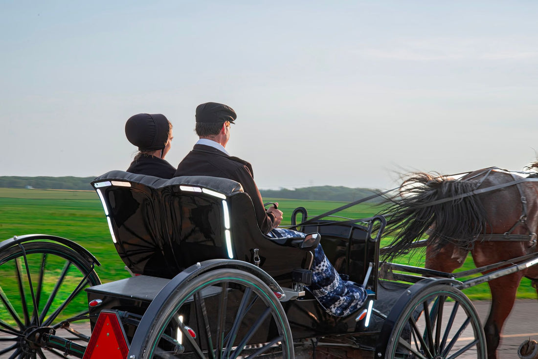 Where Are Mennonites Located In Canada