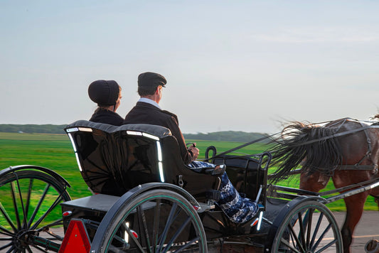 Where Are Mennonites Located In Canada