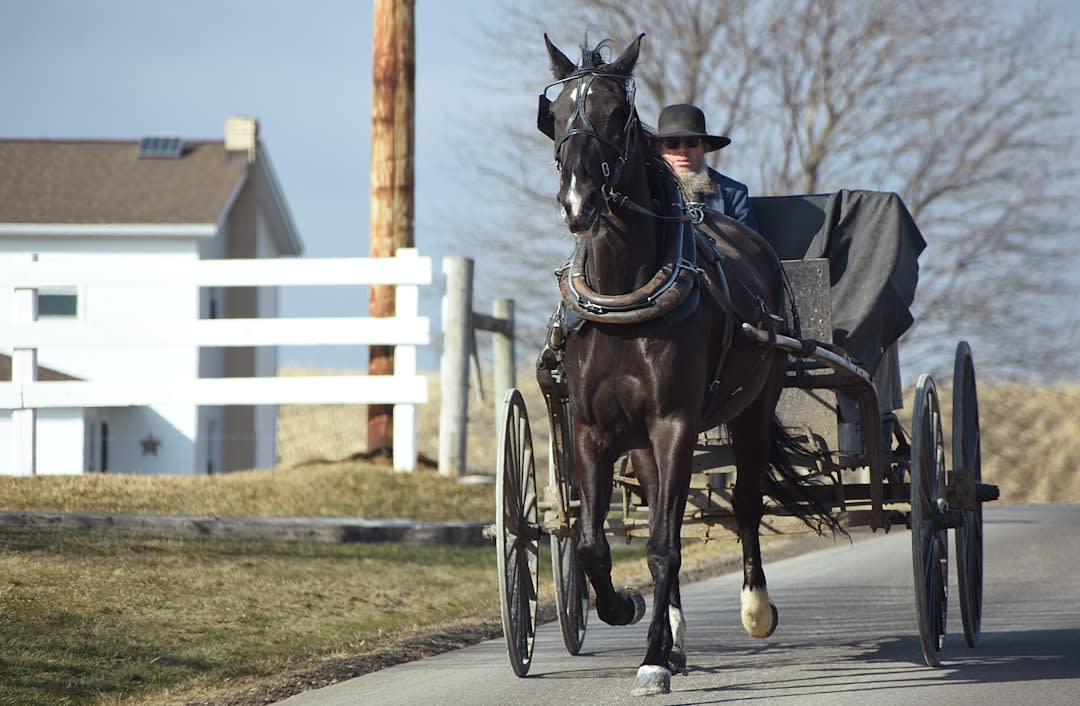 Where In Ohio Do Amish Live