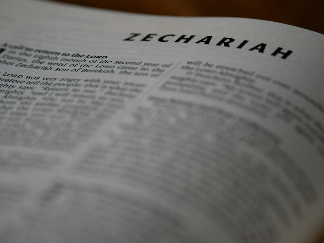 Why Did God Kill Uzzah When He Touched The Ark