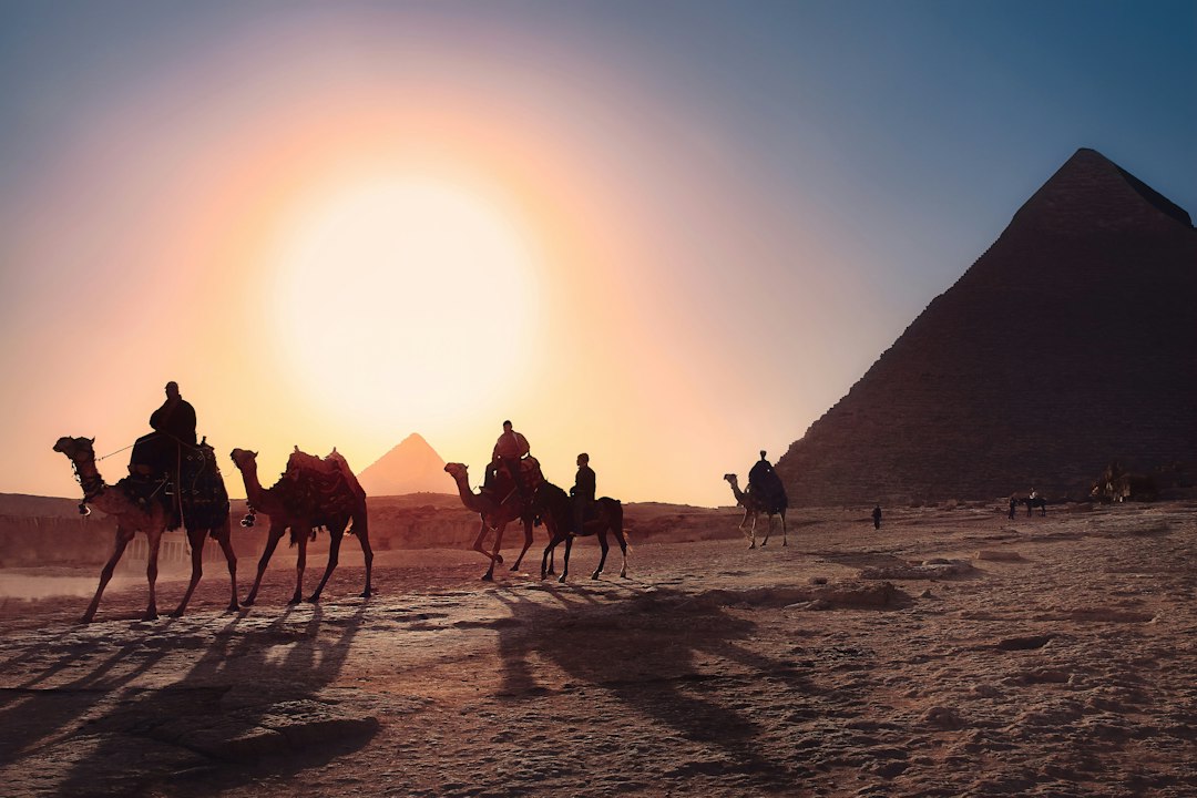 Why Did God Plague Egypt