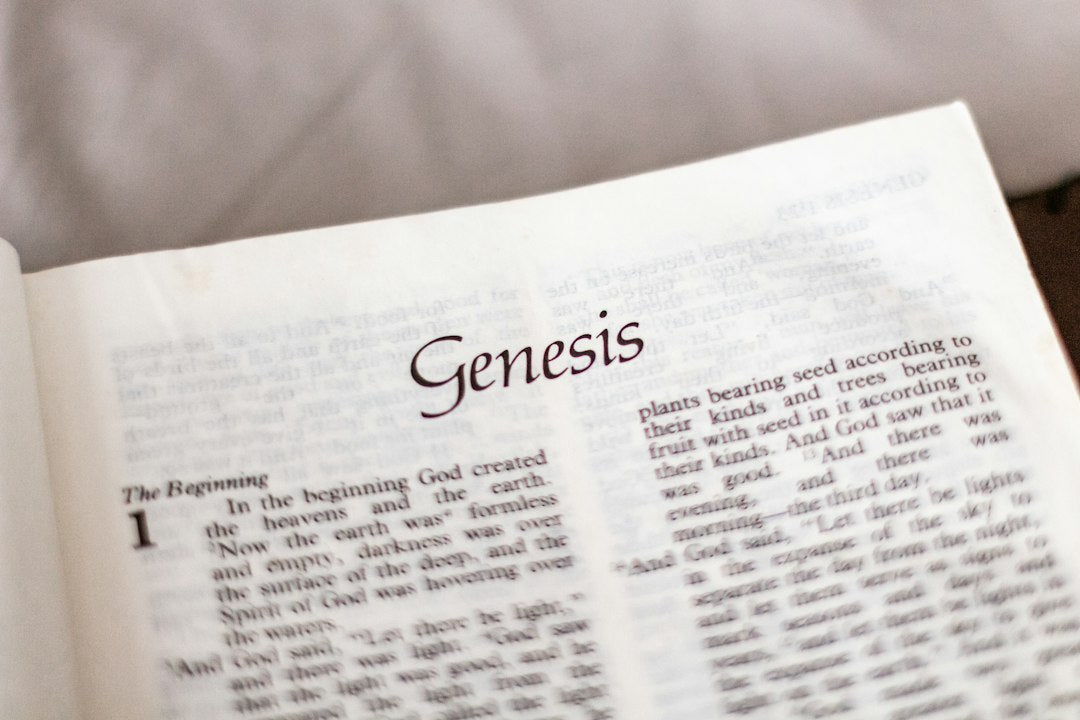 Why Did God Punish David for Taking A Census