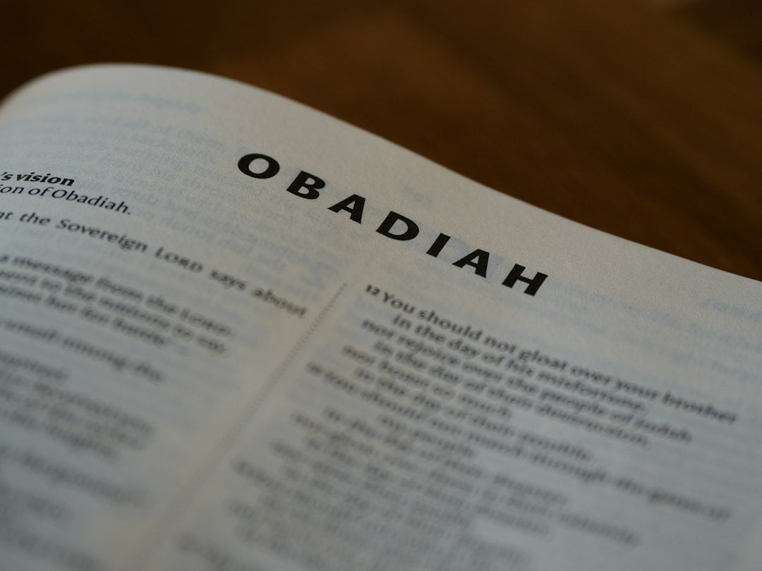 Why Did God Punish Edom In Obadiah