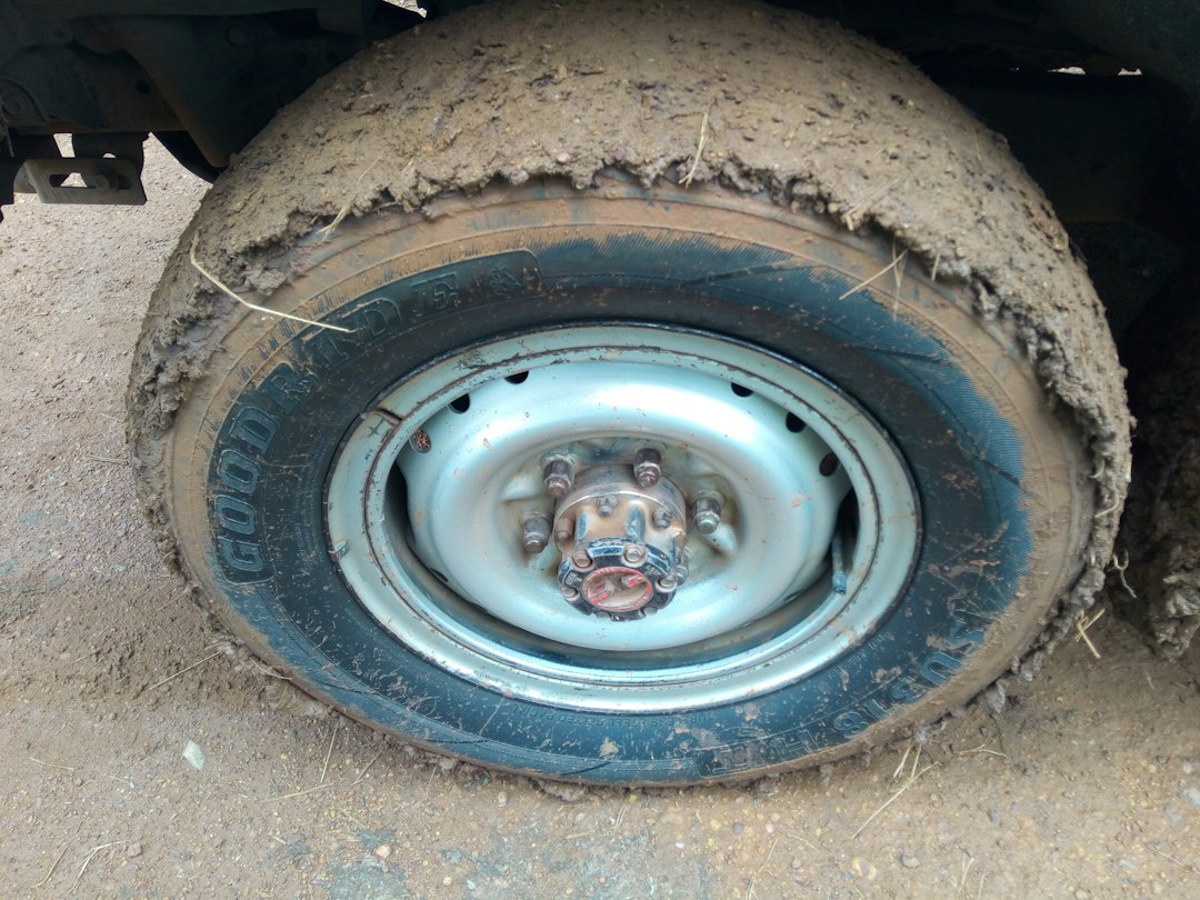 Why Did God Punish Tyre