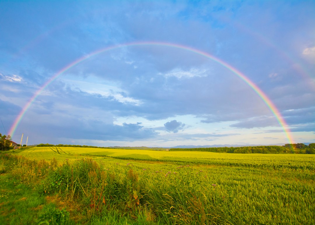 Why Did God Put The Rainbow In The Sky
