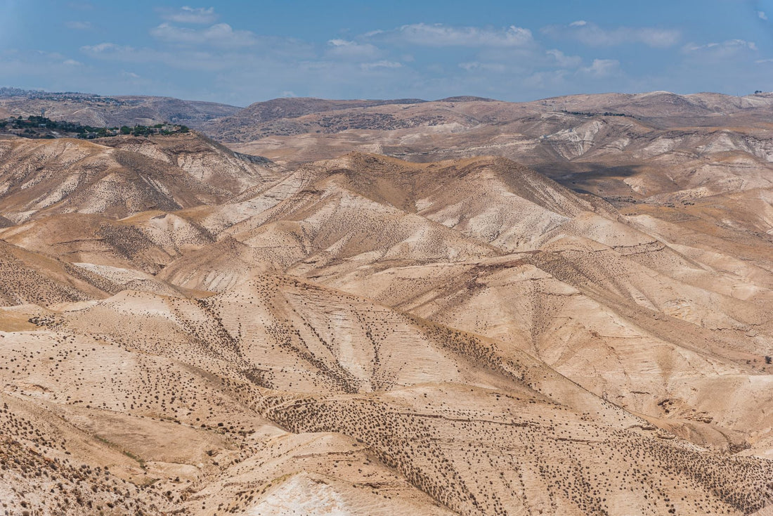 Why Did God Scatter The 12 Tribes Of Israel