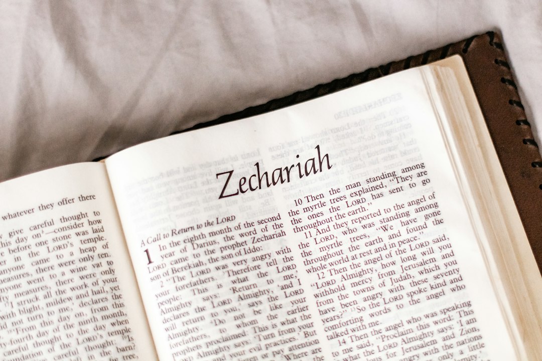 Why Did God Send Elijah To The Widow Of Zarephath