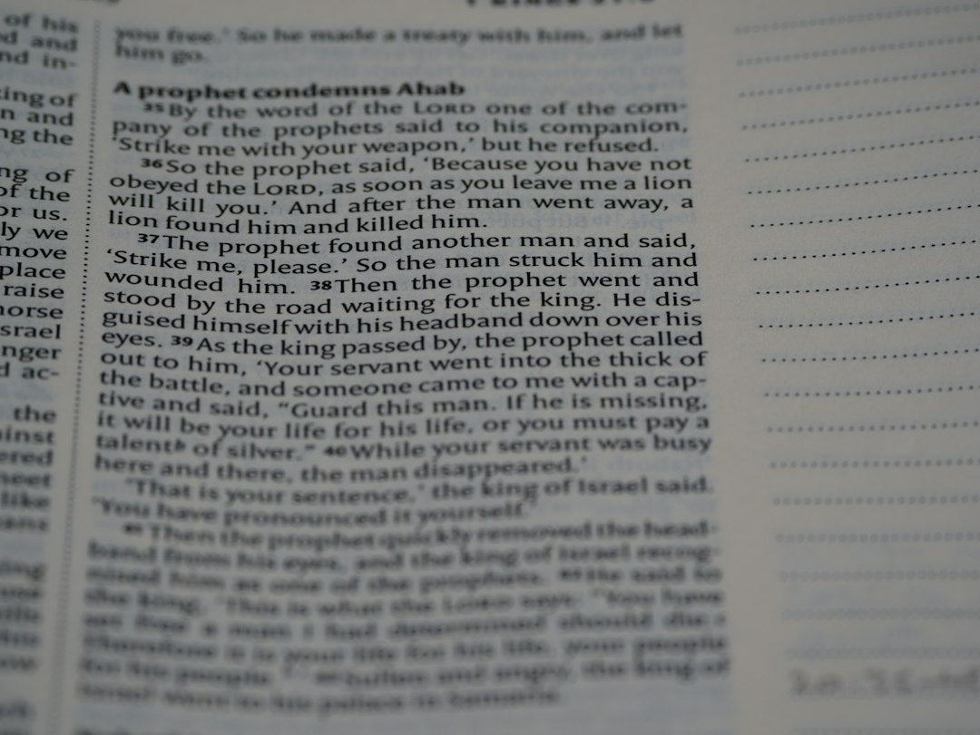 Why Did God Tell Elijah To Hide By The Brook