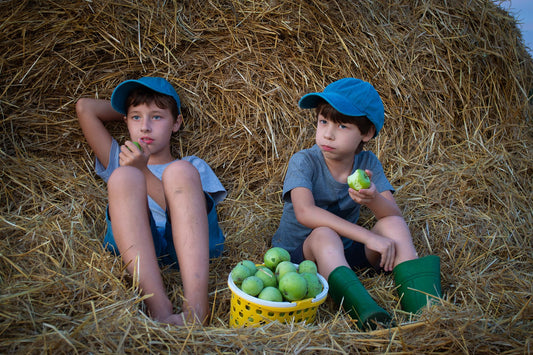 Why Do Jews Eat Apples