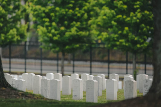 Why Do Jews Plant Trees When Someone Dies