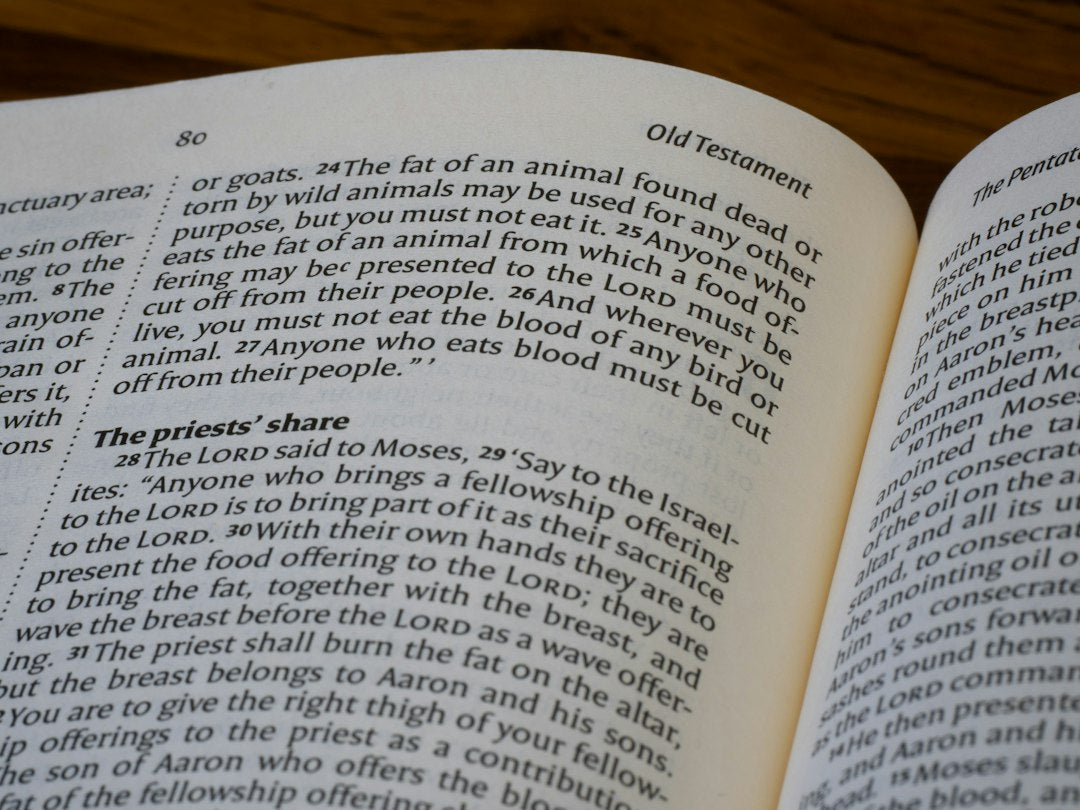 Will God Judge Animals